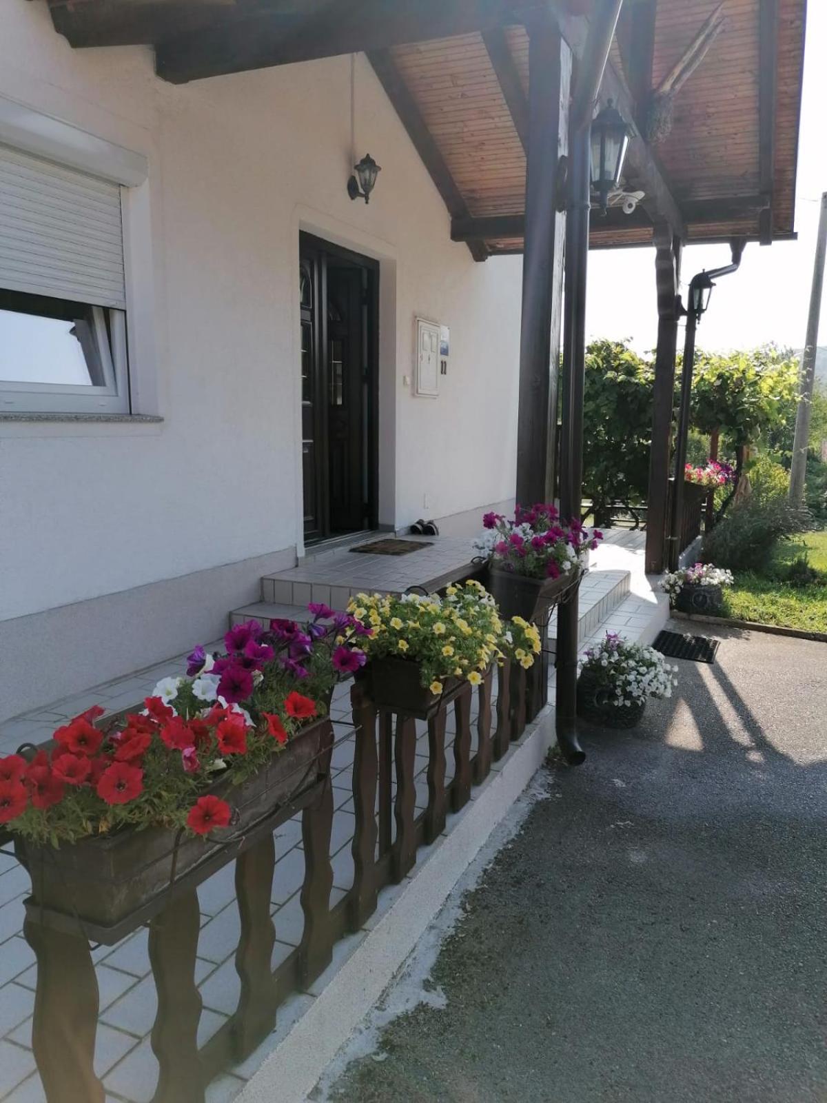 House Viktoria Hotel Seliste Dreznicko Exterior foto