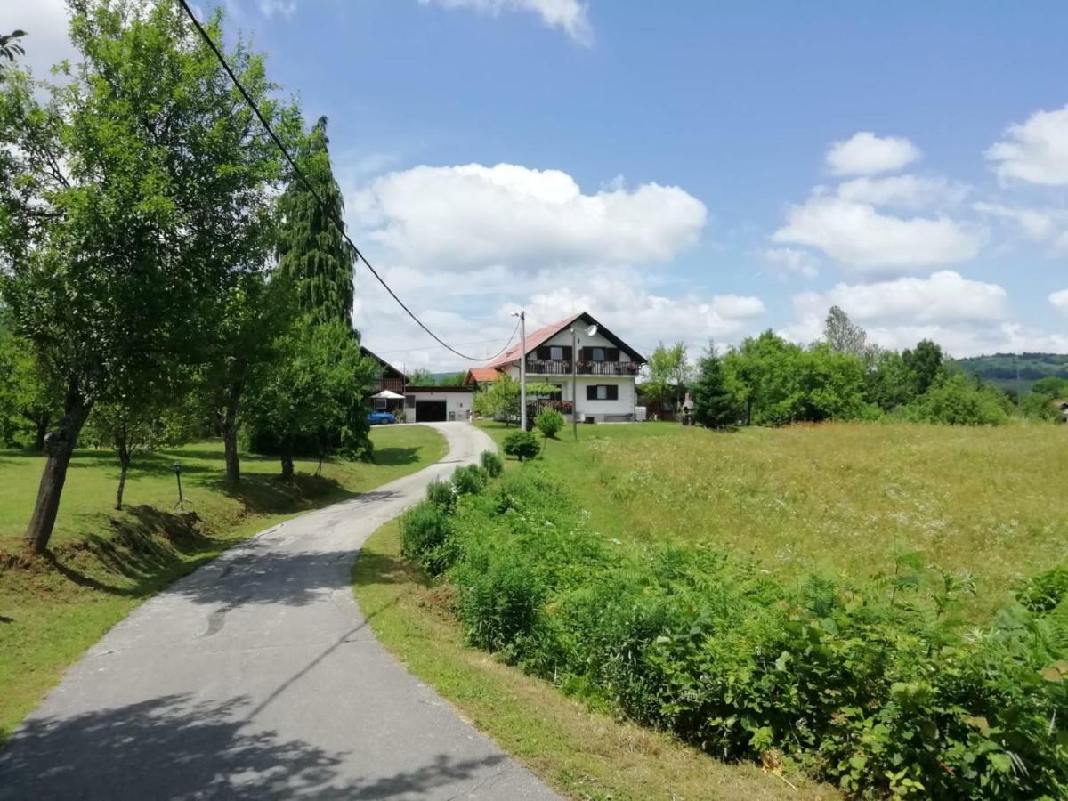 House Viktoria Hotel Seliste Dreznicko Exterior foto