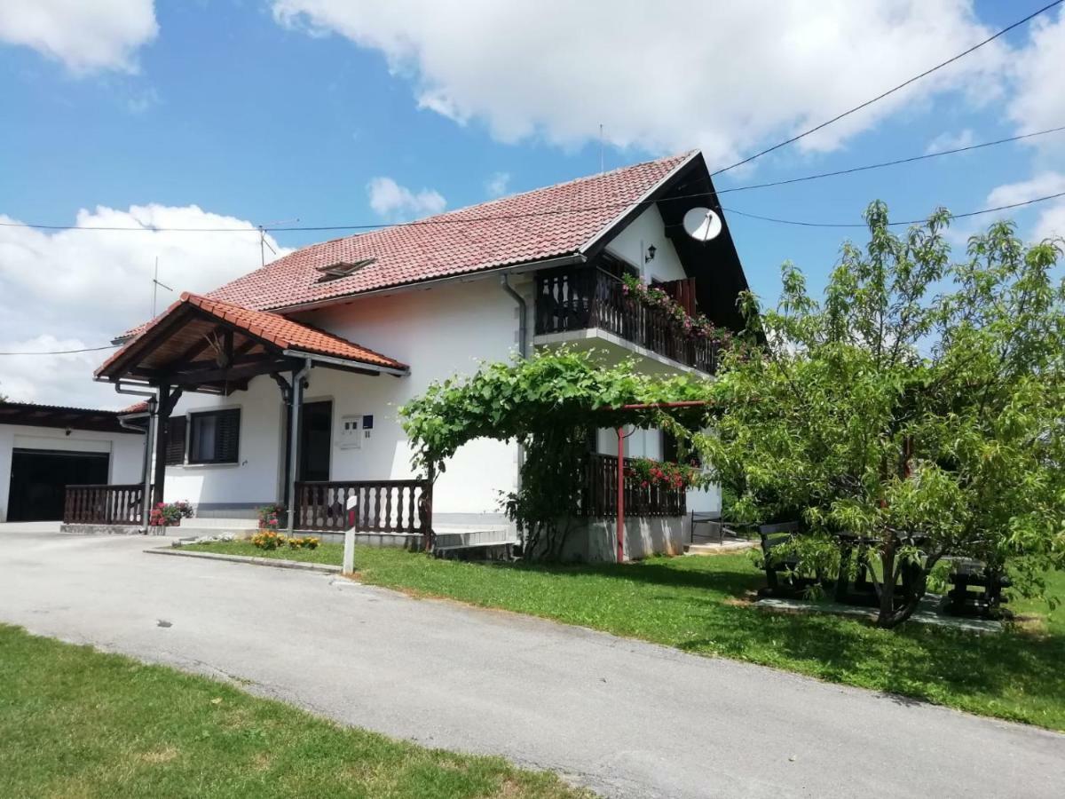 House Viktoria Hotel Seliste Dreznicko Exterior foto