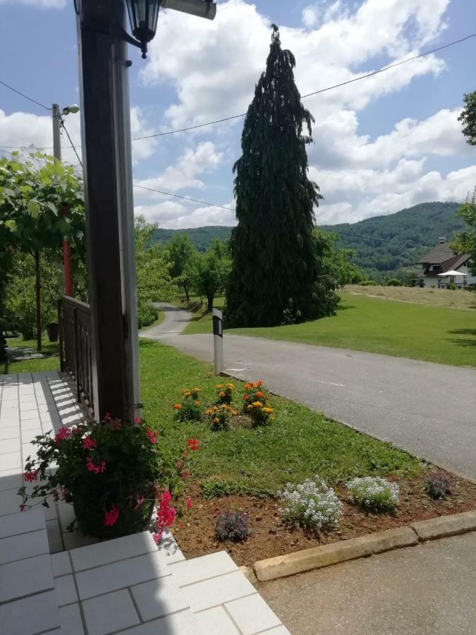 House Viktoria Hotel Seliste Dreznicko Exterior foto